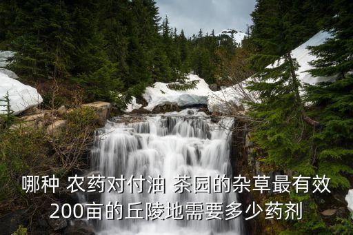 哪種 農(nóng)藥對付油 茶園的雜草最有效200畝的丘陵地需要多少藥劑
