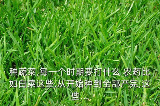 葉菜打什么農藥好,葉菜爛葉用什么農藥