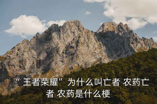王者農(nóng)藥是什么玩意,王者里共享英雄是什么玩意