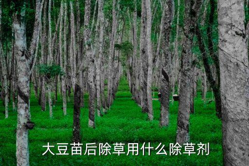 大豆使用什么農藥,大豆打什么農藥最好