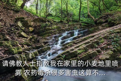 請佛教人士指教我在家里的小麥地里噴霧 農藥毒殺很多害蟲這算不...