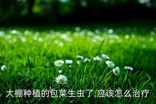 包心菜不能用什么農藥