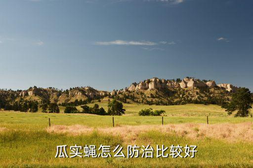 瓜實蠅怎么防治比較好