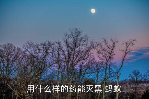 買什么農藥可以殺死螞蟻,什么農藥能大量殺死蒼蠅