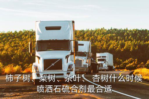 杏樹的農藥什么時候打,什么時候打農藥效果最好