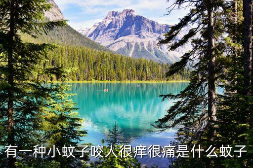 有一種小蚊子咬人很癢很痛是什么蚊子