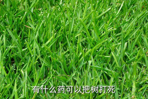 什么農藥能殺死樹拉子,用什么農藥可以把樹殺死