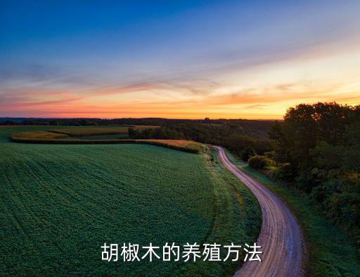胡椒木掉葉子用什么農藥
