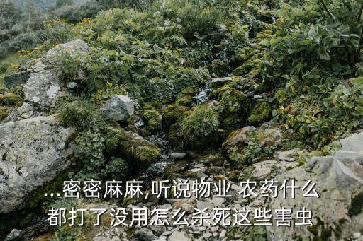 柳樹用什么農(nóng)藥可以打死,什么農(nóng)藥能殺死柳樹