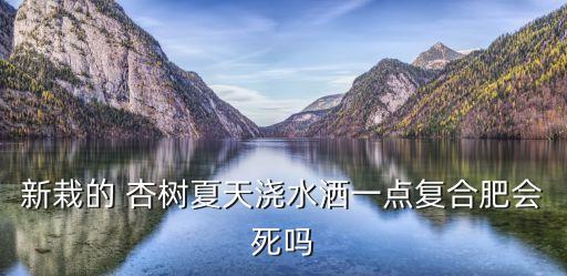 新栽的 杏樹夏天澆水灑一點復合肥會死嗎