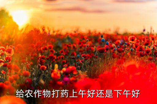 什么時候用農藥殺菌最好,夏天噴灑農藥最好在什么時候