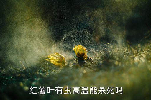  紅薯葉有蟲高溫能殺死嗎