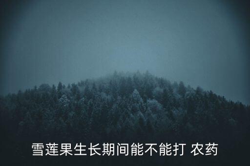 雪蓮果生長期間能不能打 農藥