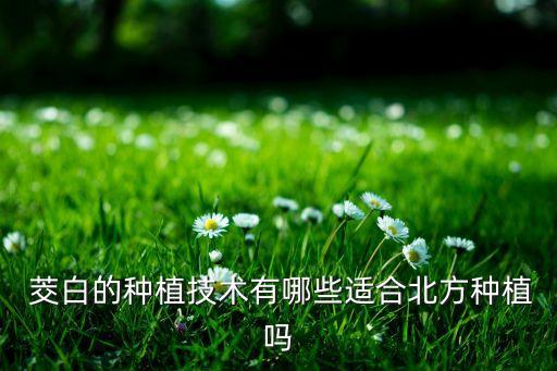 現在茭白打什么農藥,除茭白用什么農藥