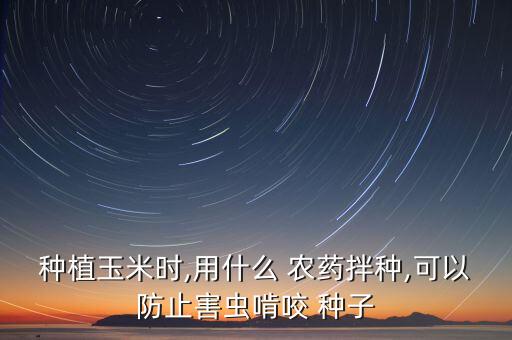種子外面是什么農藥,菠菜種子拌的是什么農藥