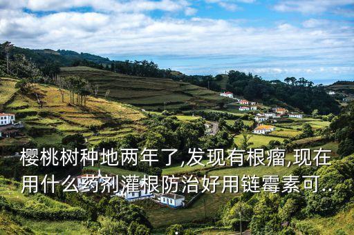 櫻桃樹種地兩年了,發(fā)現(xiàn)有根瘤,現(xiàn)在用什么藥劑灌根防治好用鏈霉素可...