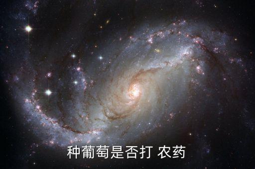 種葡萄是否打 農(nóng)藥