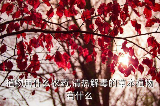草本植物用什么農藥,清熱解毒的草本植物有什么