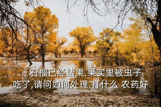 ... 石榴已經結果,果實里被蟲子吃了,請問如何處理,打什么 農藥好...