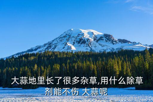 大蒜一般打什么農(nóng)藥好,大蒜當(dāng)前還需要噴什么農(nóng)藥