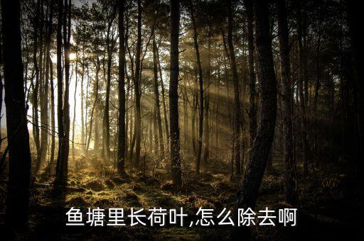 魚塘里長荷葉,怎么除去啊