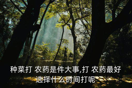 種菜打 農藥是件大事,打 農藥最好選擇什么時間打呢
