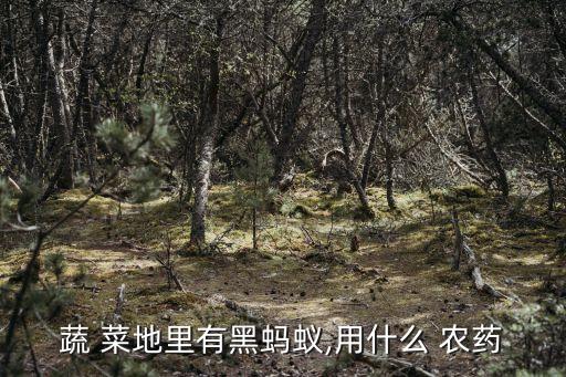 蔬 菜地里有黑螞蟻,用什么 農(nóng)藥