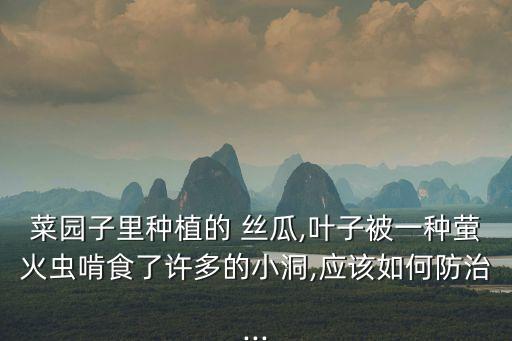 絲瓜黑星病用什么農藥打