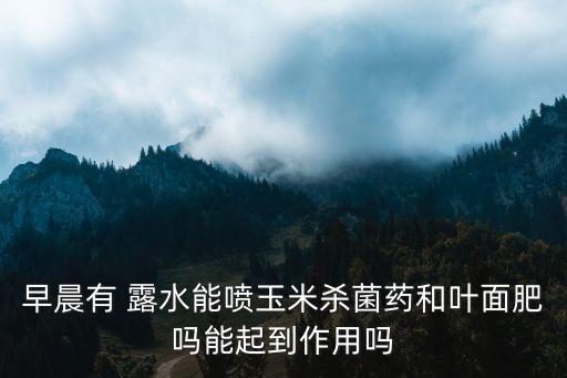 什么農藥去露水,有露水打農藥有效果嗎
