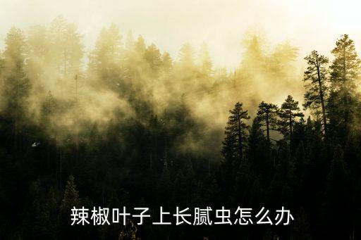  辣椒葉子上長膩蟲怎么辦