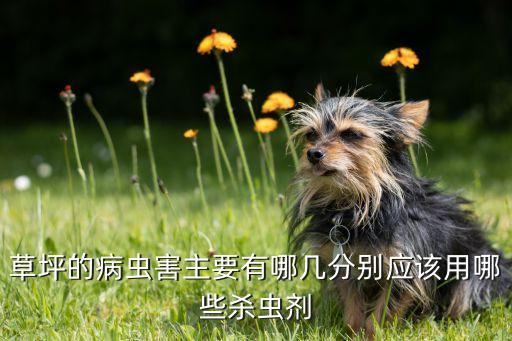 什么農藥可以殺死草胺蟲,用什么農藥殺死蛇