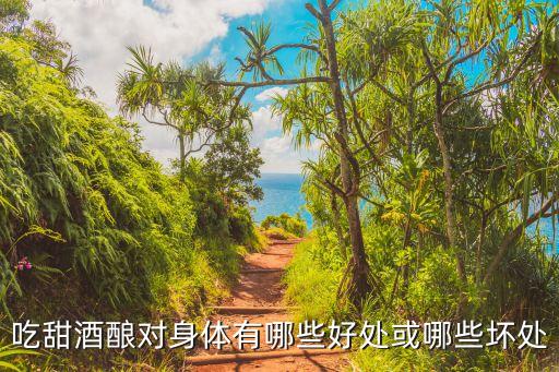 吃甜酒釀對身體有哪些好處或哪些壞處