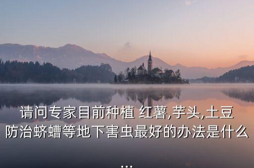 請(qǐng)問專家目前種植 紅薯,芋頭,土豆防治蠐螬等地下害蟲最好的辦法是什么...