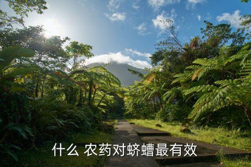 治天眼蟲的農(nóng)藥是什么