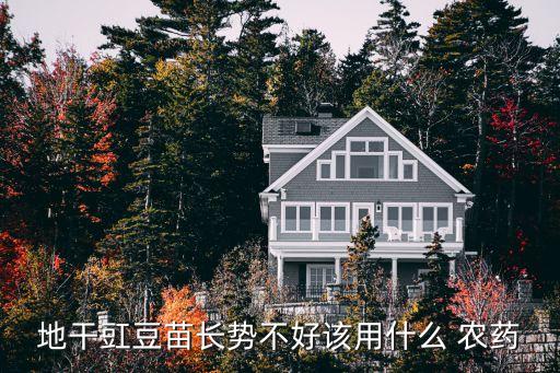 地干豇豆苗長勢不好該用什么 農(nóng)藥