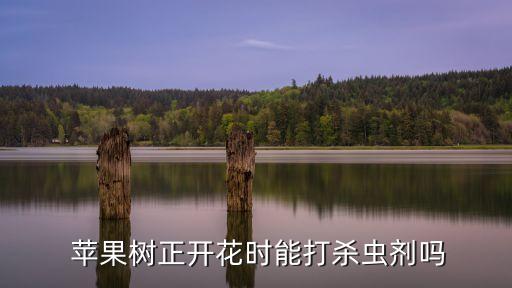 蘋果樹花噴什么農藥