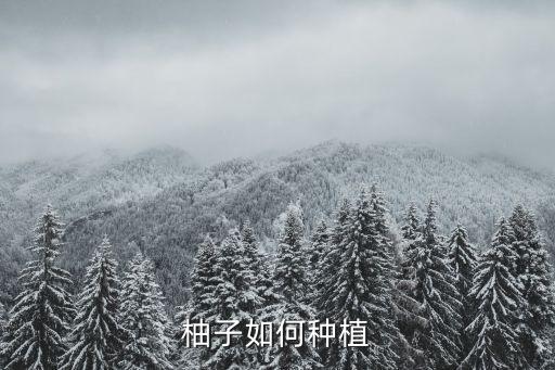 柚子如何種植