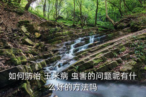 玉米蟲害噴什么無毒農藥,玉米有什么蟲害