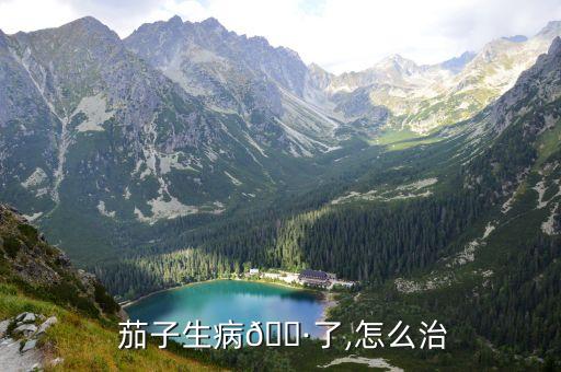  茄子生病?了,怎么治