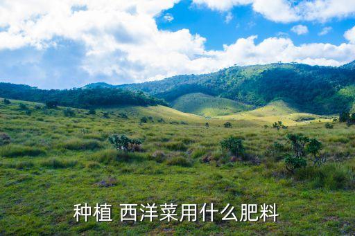 種西洋菜用什么農藥,西洋菜打什么農藥
