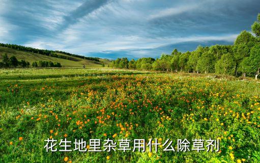  花生地里雜草用什么除草劑