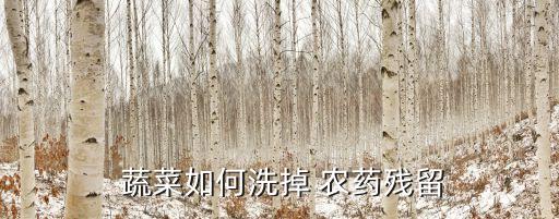 水能種什么蔬菜,什么性水能洗蔬菜的農藥