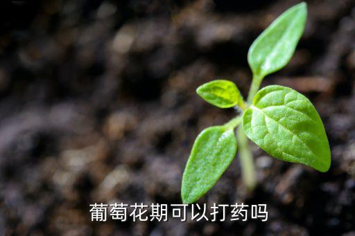  葡萄花期可以打藥嗎