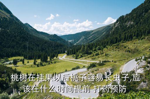 桃樹打農(nóng)藥后什么時候打藥,桃樹什么時候打農(nóng)藥最合適