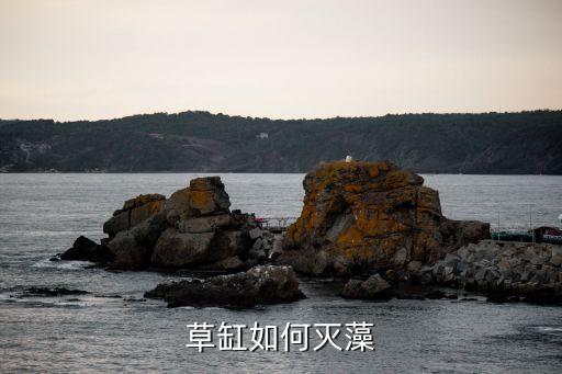 草缸如何滅藻