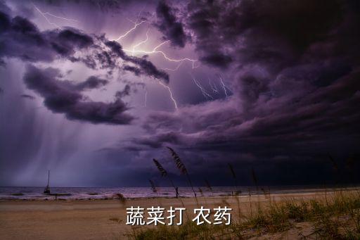 蔬菜打 農藥