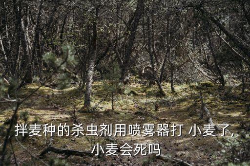 小麥種拌什么農藥,小麥打農藥什么時間打效果好