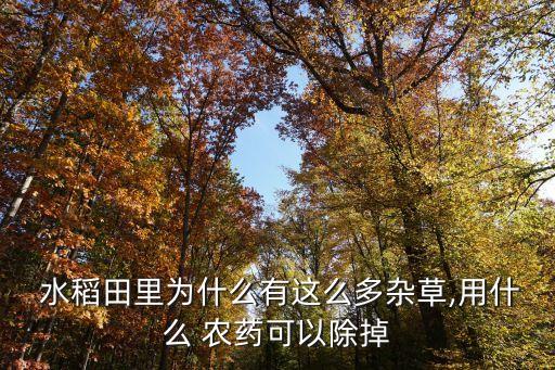 什么農(nóng)藥直接殺死水稻,水稻農(nóng)藥什么時間打效果最好
