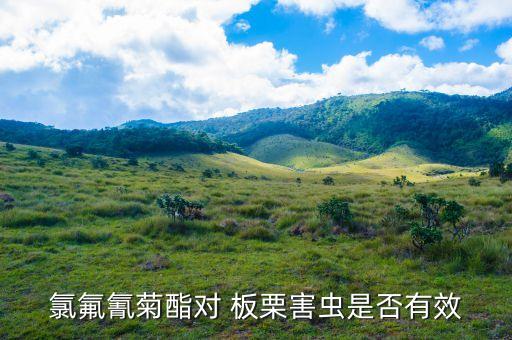氯氟氰菊酯對 板栗害蟲是否有效