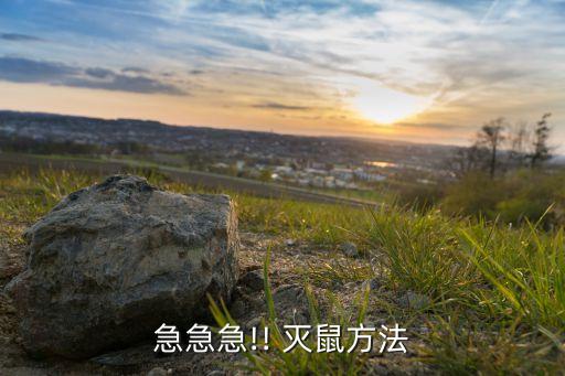 急急急!! 滅鼠方法